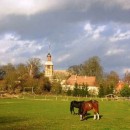 Die Tramper Kirche, gesehen von der Pferdeweide